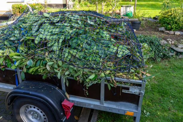 Best Recycling Services for Junk  in Pleasantville, IA